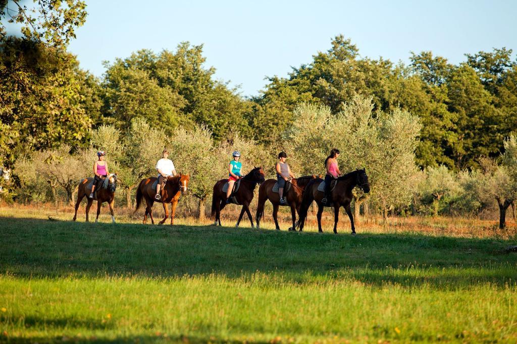 Istra Plava Laguna 3* Poreč